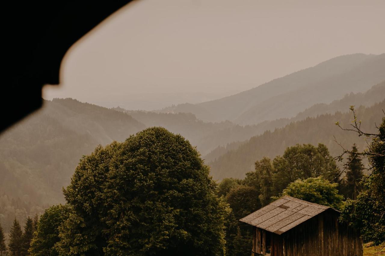Garanas Almhaus Kochjosel 빌라 외부 사진